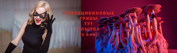 твердый Белоозёрский