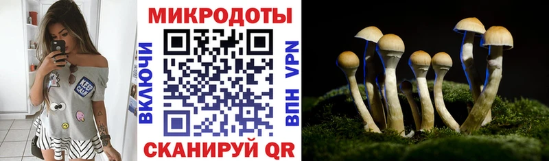 KRAKEN ссылки  Купино  Псилоцибиновые грибы Cubensis 